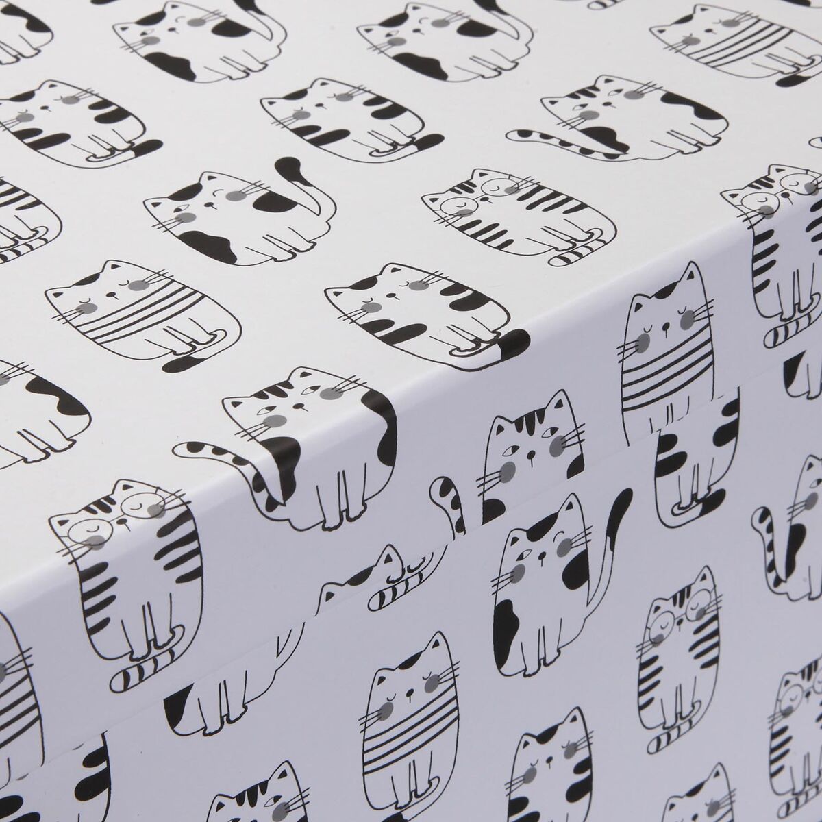 Set de Cajas Organizadoras Apilables Versa Cartón Gato 15 Piezas