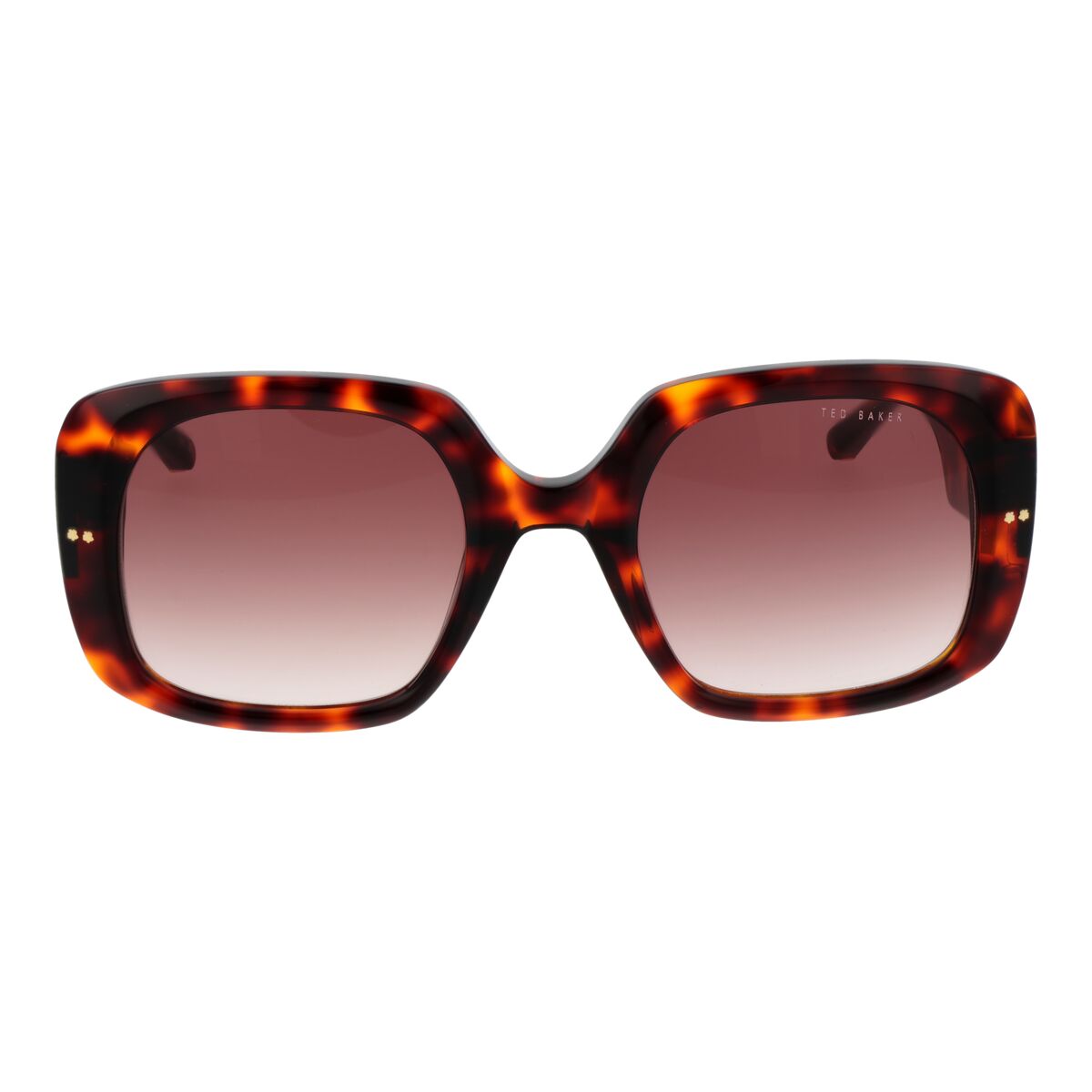Gafas de Sol Mujer Ted Baker TB1730 53100