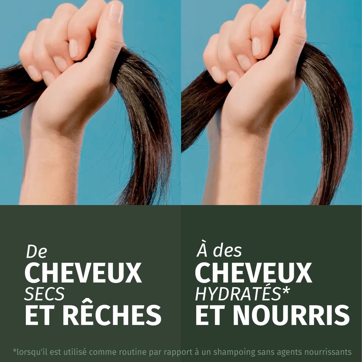 Champú Hidratante Herbal Essences Coconut Scent