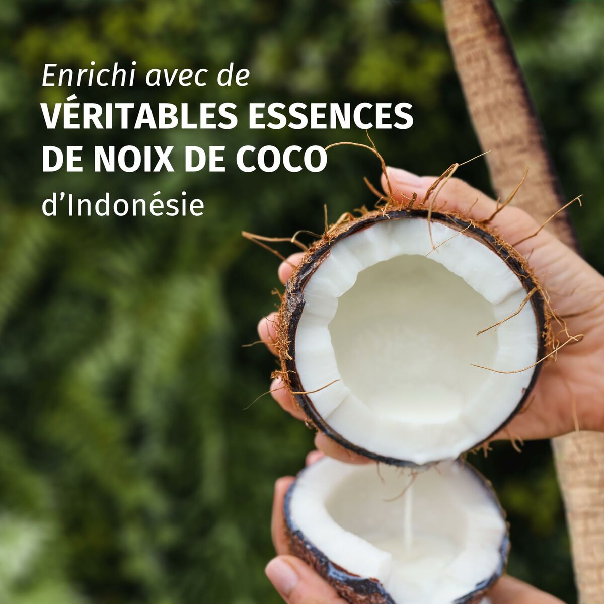 Champú Hidratante Herbal Essences Coconut Scent