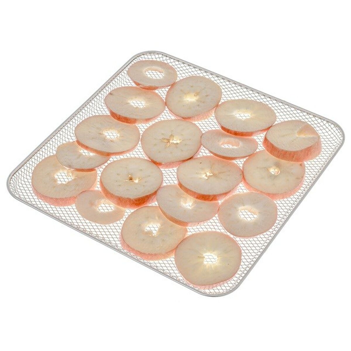 Deshidratador de Alimentos Adler AD 6660 600 W