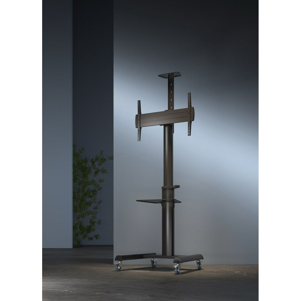 Soporte de Mesa para Pantalla GEMBIRD TVS-70T-02 70" 37"