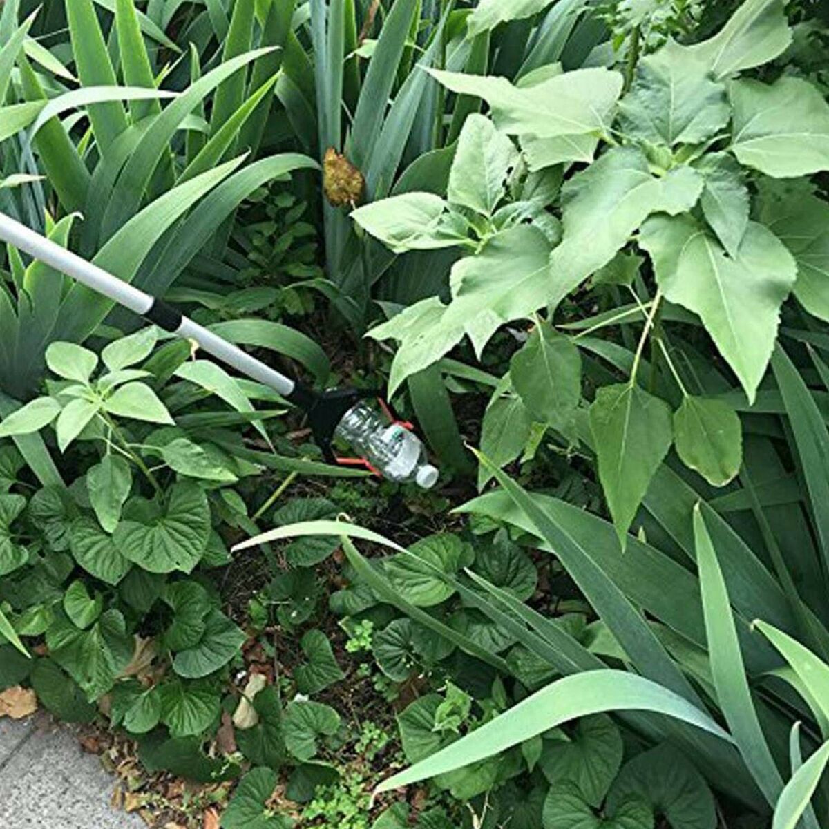 PC de Sobremesa MSI Cubi 5 12M-478EU Intel Core I7-1255U Intel Core i7-12700 16 GB RAM 512 GB SSD