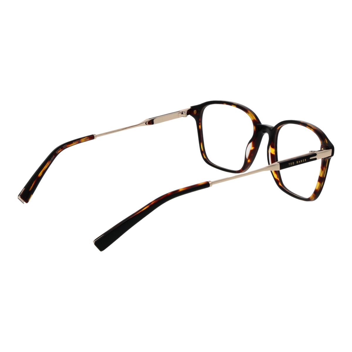 Montura de Gafas Hombre Ted Baker TB8317 54107