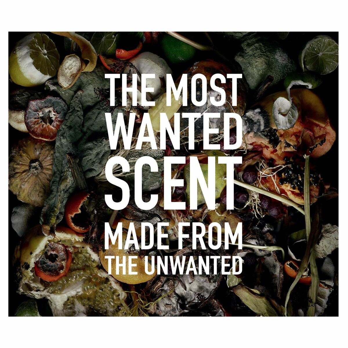 Perfume Unisex Etat Libre D'Orange I'am Trash - Les Fleurs Du Dechet EDP