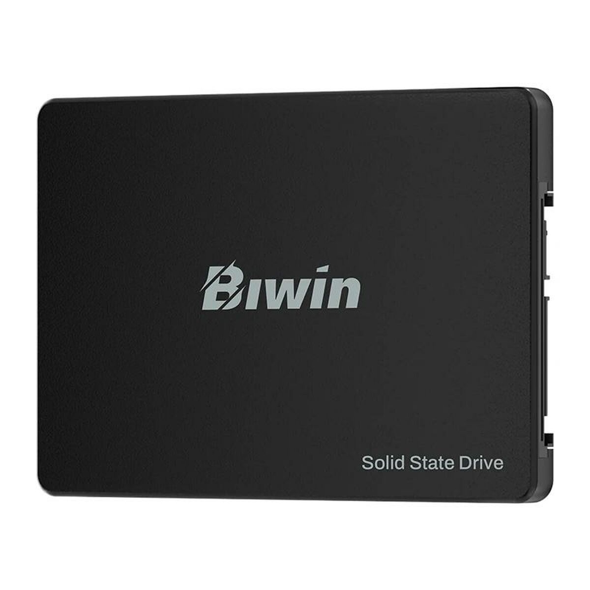 Disco Duro Biwin M100 1 TB SSD