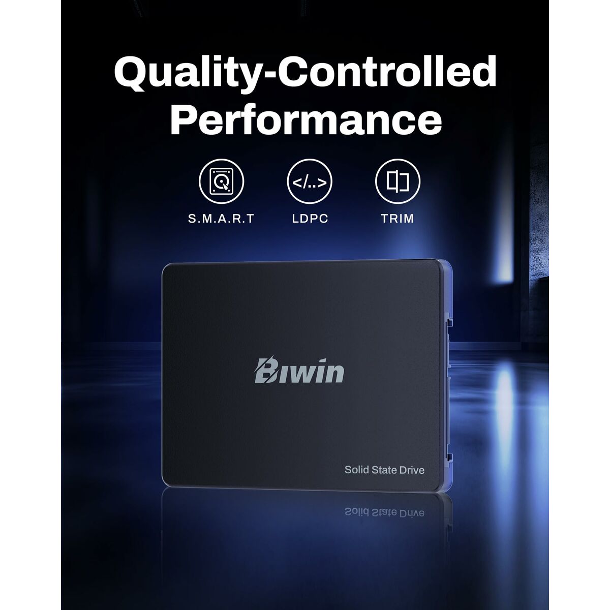 Disco Duro Biwin M100 256 GB SSD