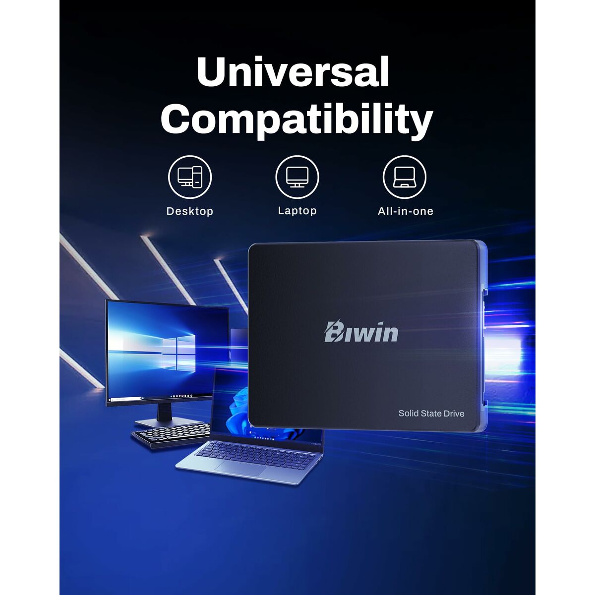Disco Duro Biwin M100 256 GB SSD