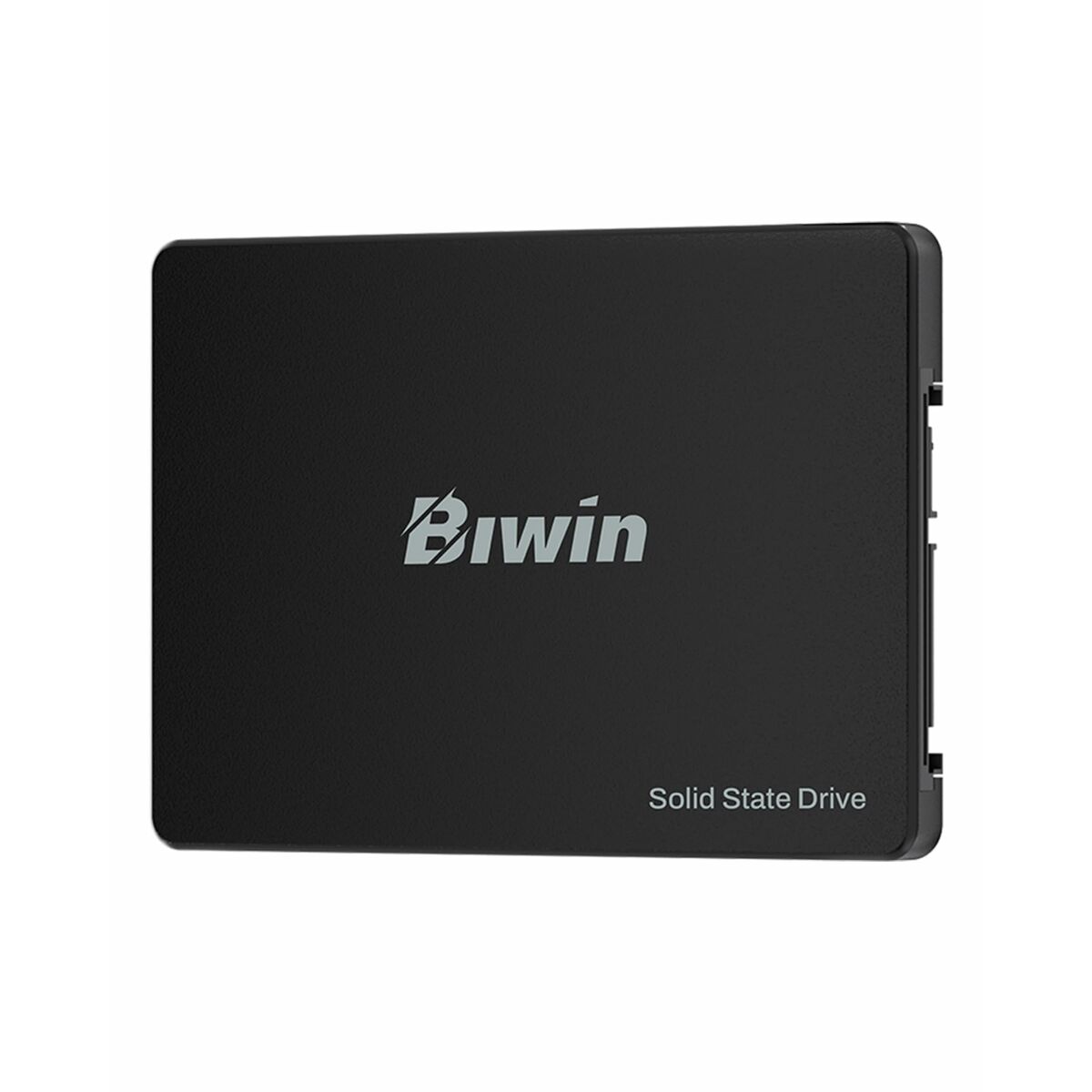 Disco Duro Biwin M100 256 GB SSD