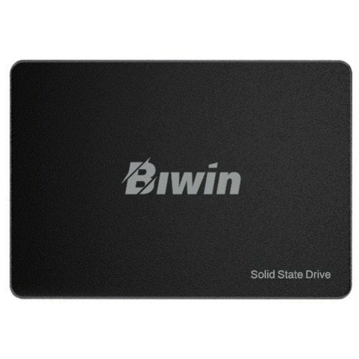 Disco Duro Biwin M100 256 GB SSD