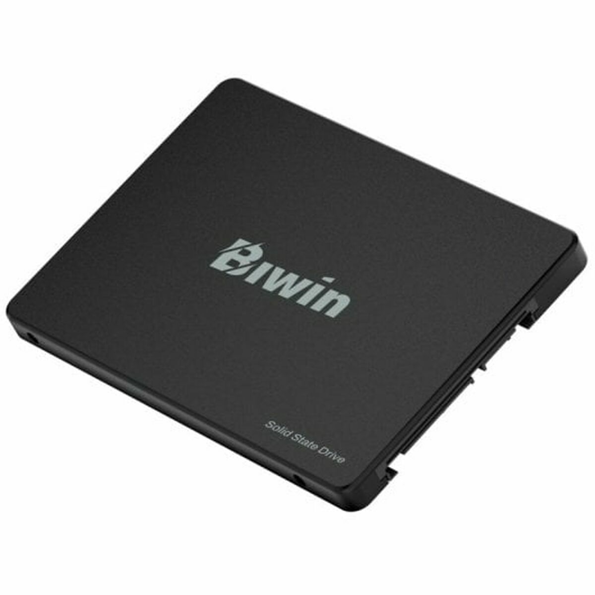 Disco Duro Biwin M100 256 GB SSD