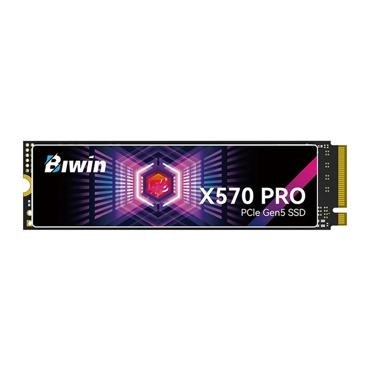 Disco Duro Biwin X570 Pro 2 TB SSD