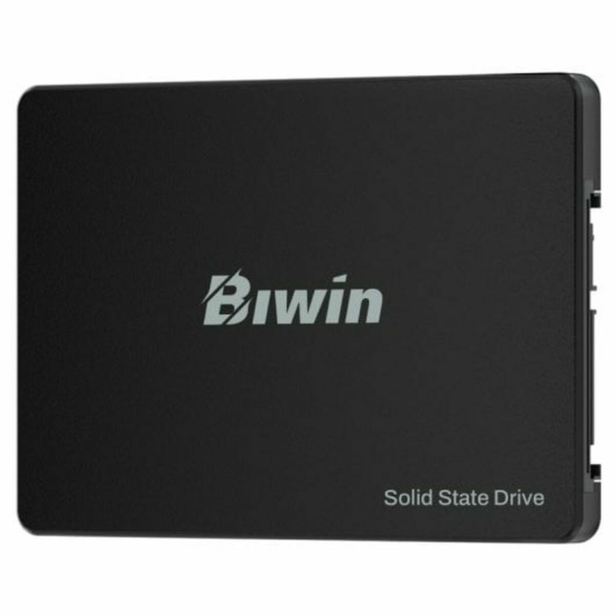 Disco Duro Biwin BM100NN512G-RGX 512 GB SSD