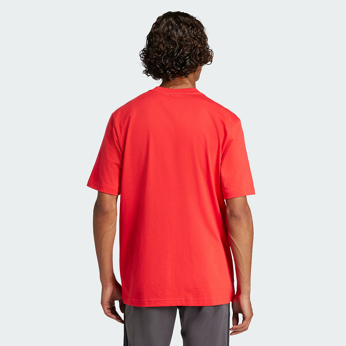 Camiseta de Manga Corta Hombre Adidas M LIN SJ T JE8994 Rojo