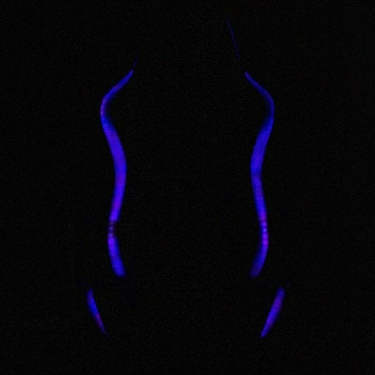 Silla Gaming Woxter GM26-068 Negro RGB