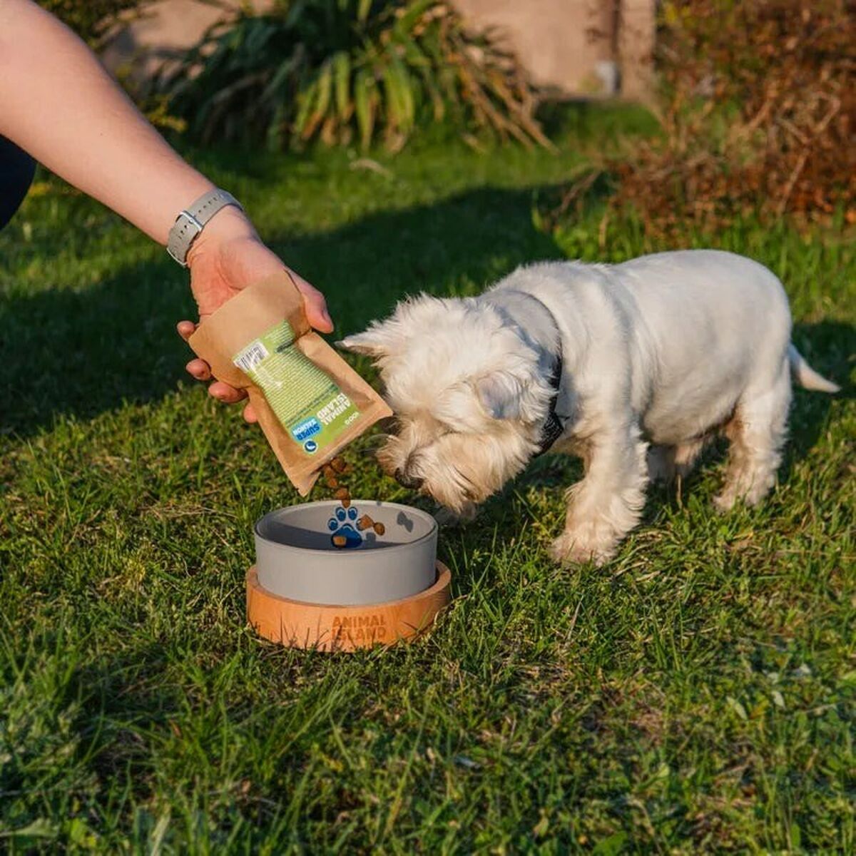 Pienso ANIMAL ISLAND Salmón 12 kg