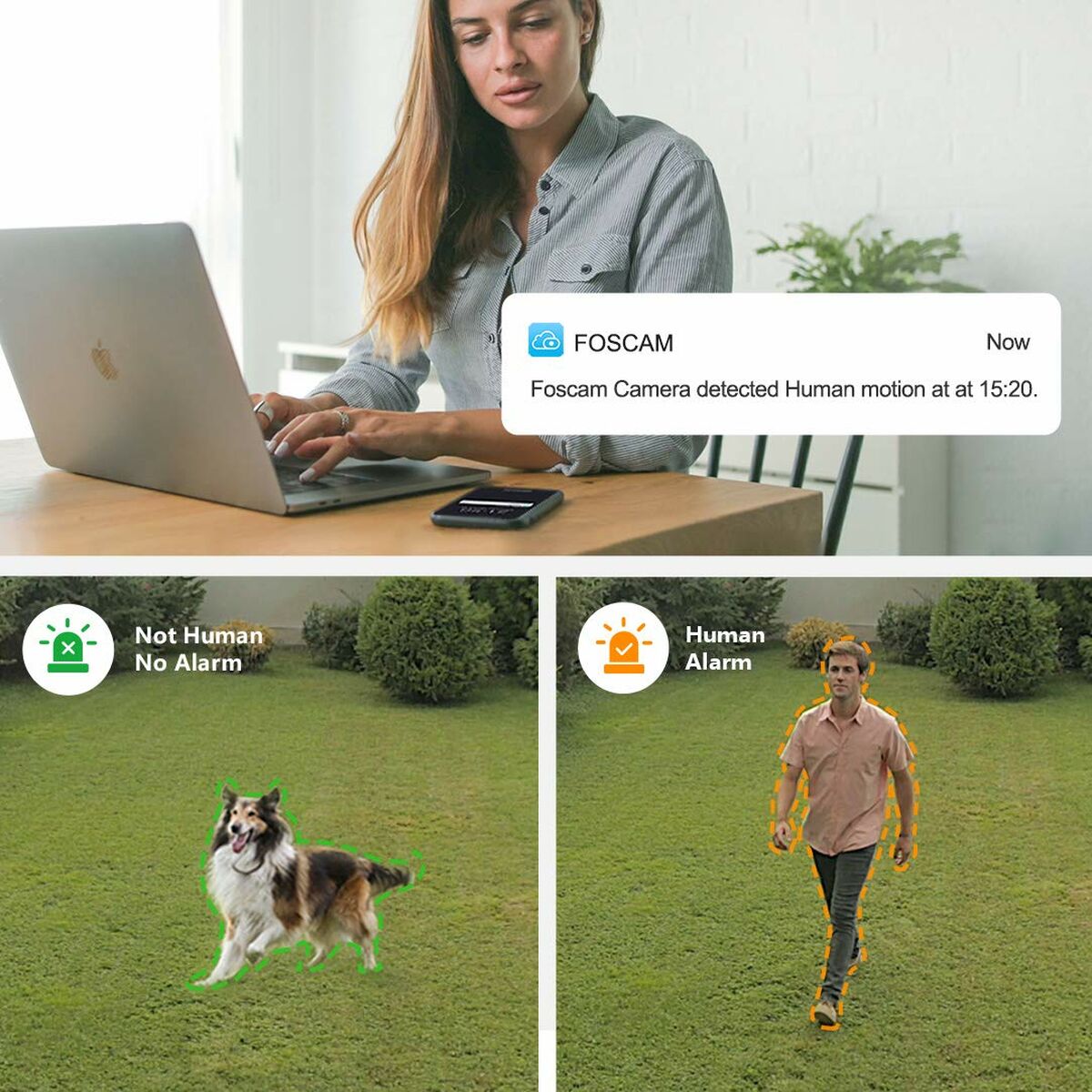 Videocámara de Vigilancia Foscam SD2X