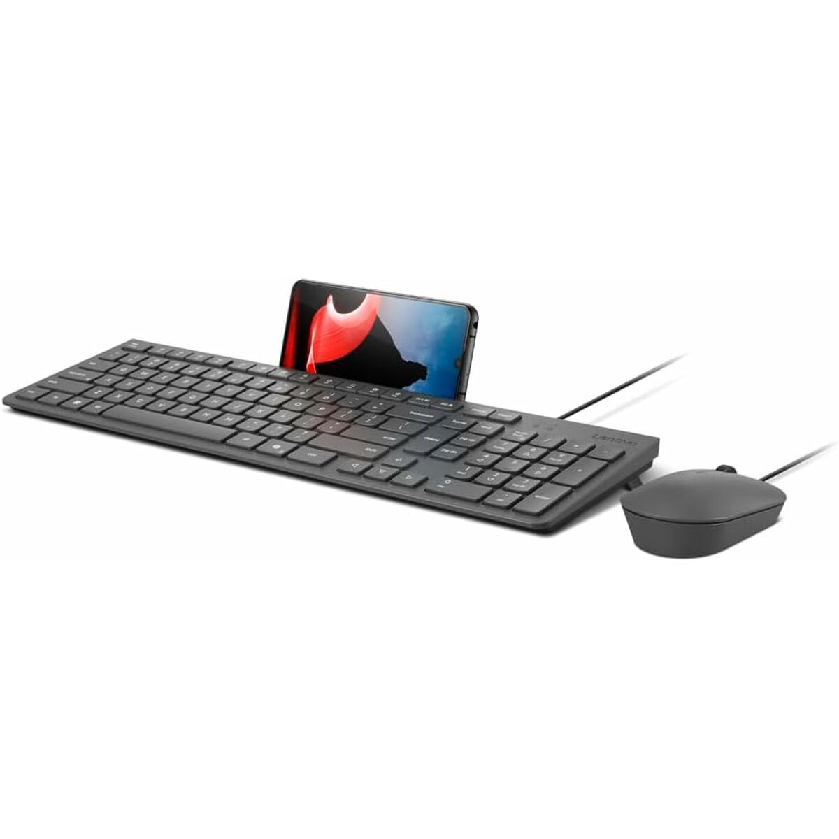 Teclado y Ratón Lenovo GX31R09791