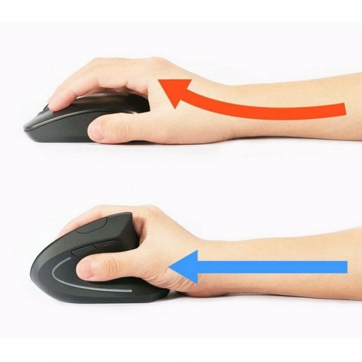 Ratón Ergonómico Óptico Equip 245110 Mano derecha