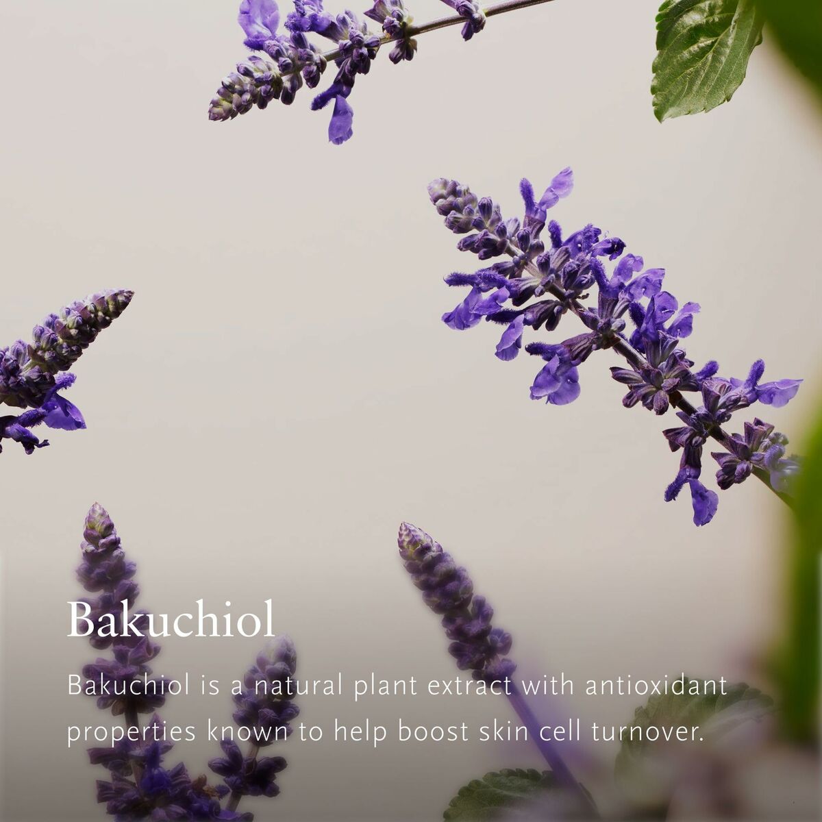 Set de Belleza Rituals THE RITUAL OF NAMASTE 5 Piezas