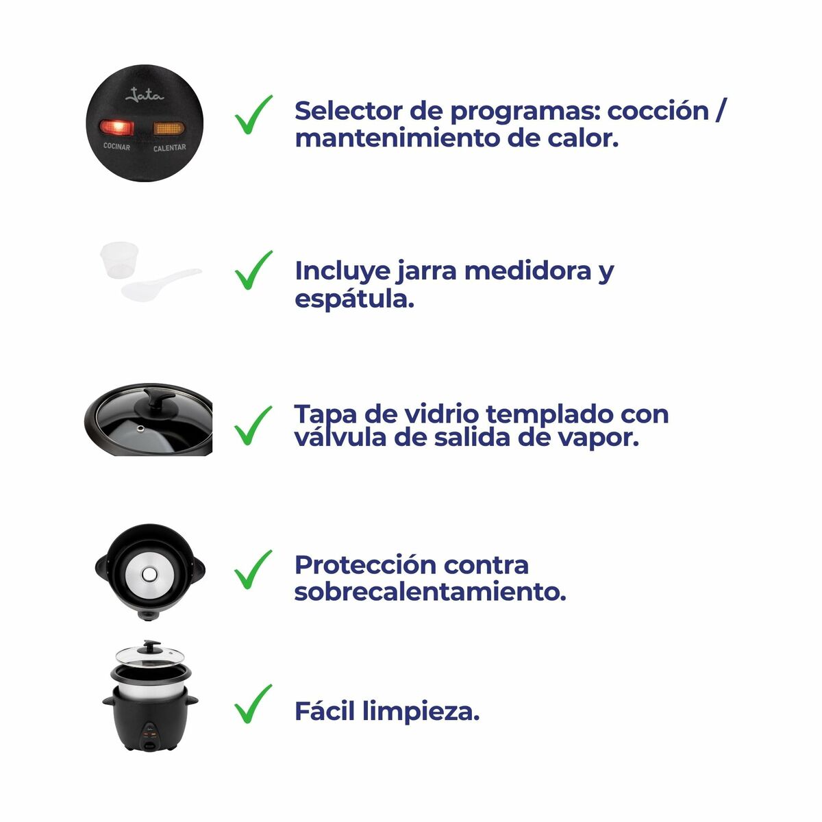 Arrocera JATA JEAR2528 1000 W