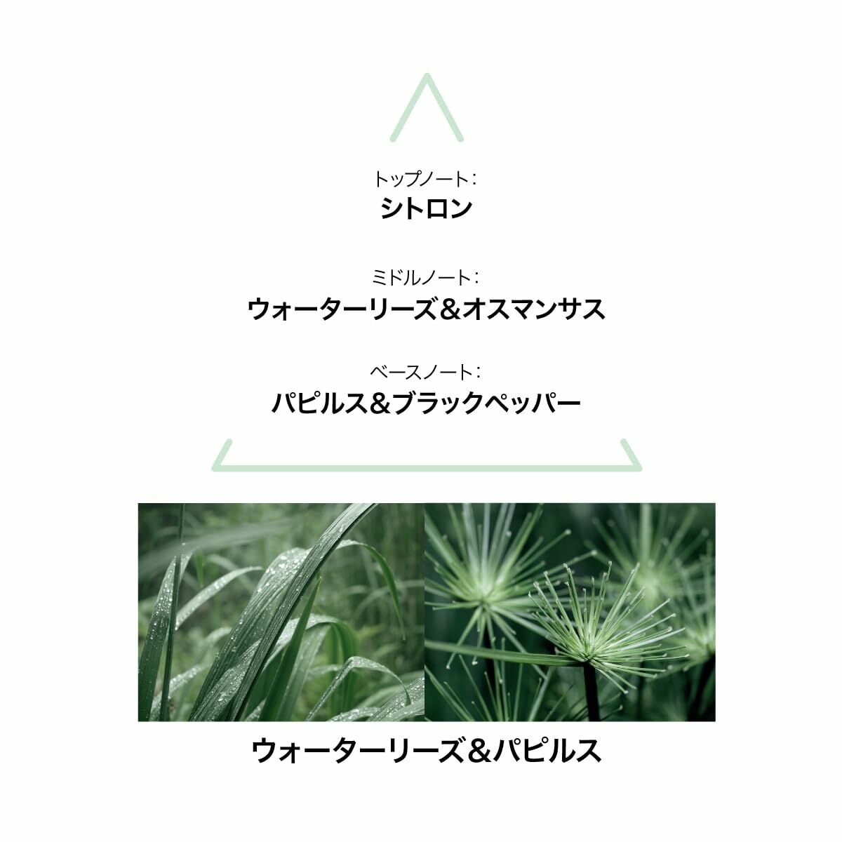 Perfume Mujer Le Couvent des Minimes