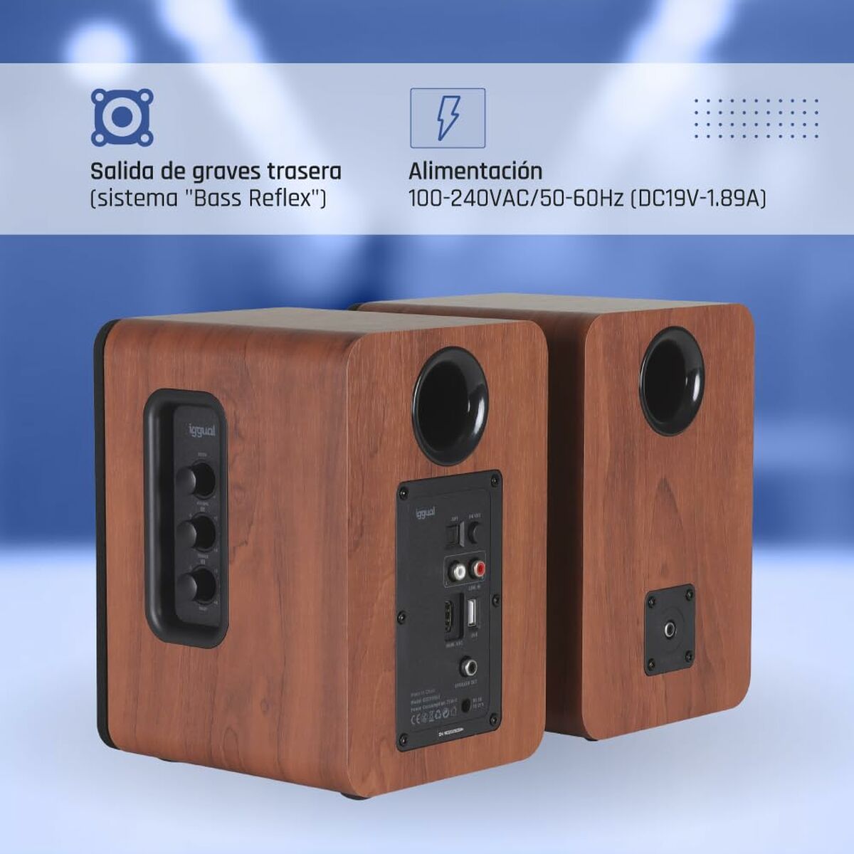 Altavoces PC iggual IGG319963 50 W