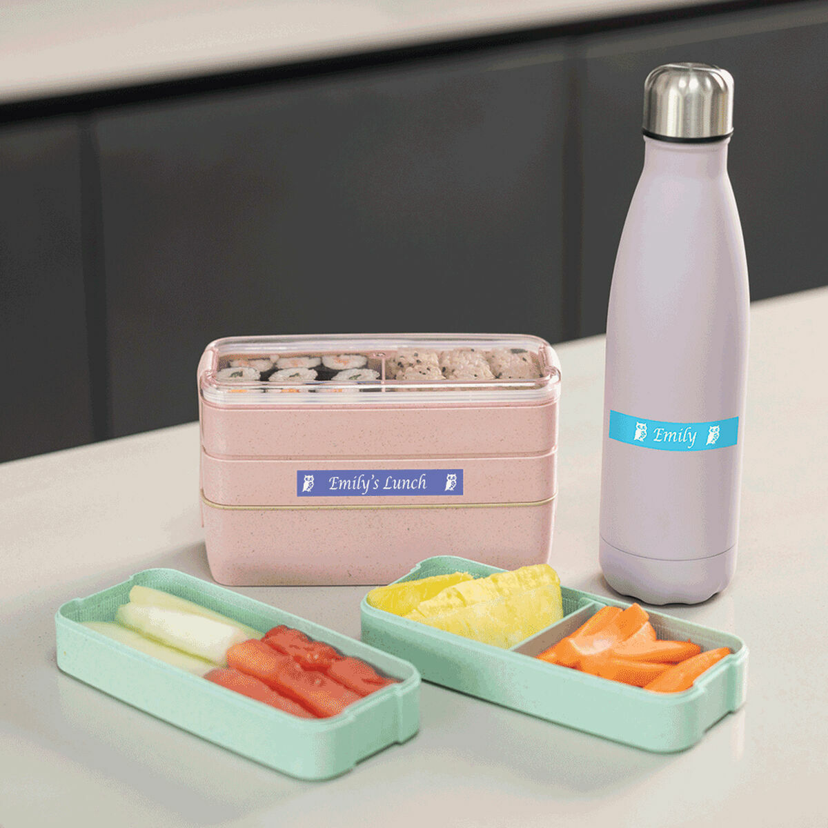 Cargador + Pilas Recargables Brother PTN25BTQL1 Blanco