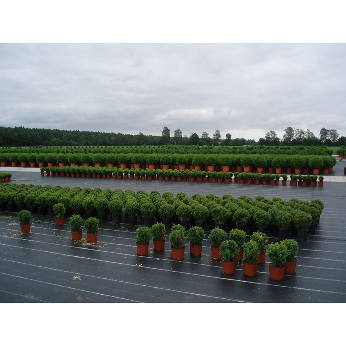 Malla de Ocultación Faura Verde