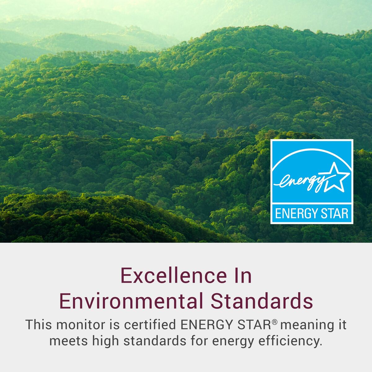 Monitor Dell 210-BQZT Full HD 23,8"