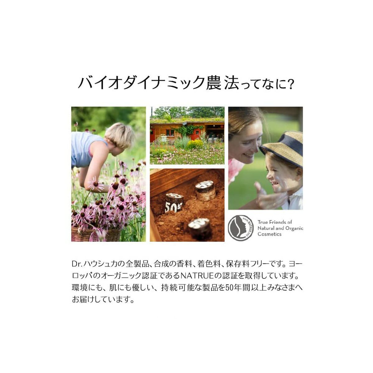 Crema de Día Dr. Hauschka 30 ml