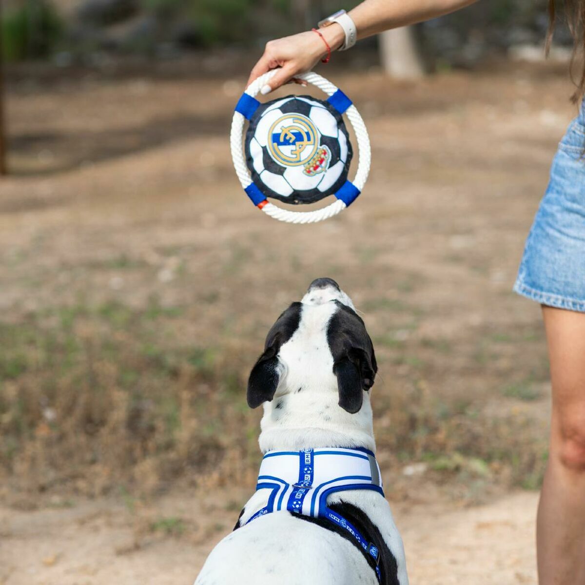 Juguete para perros Real Madrid C.F. 22,0 x 22,0 x 6,0 cm Blanco