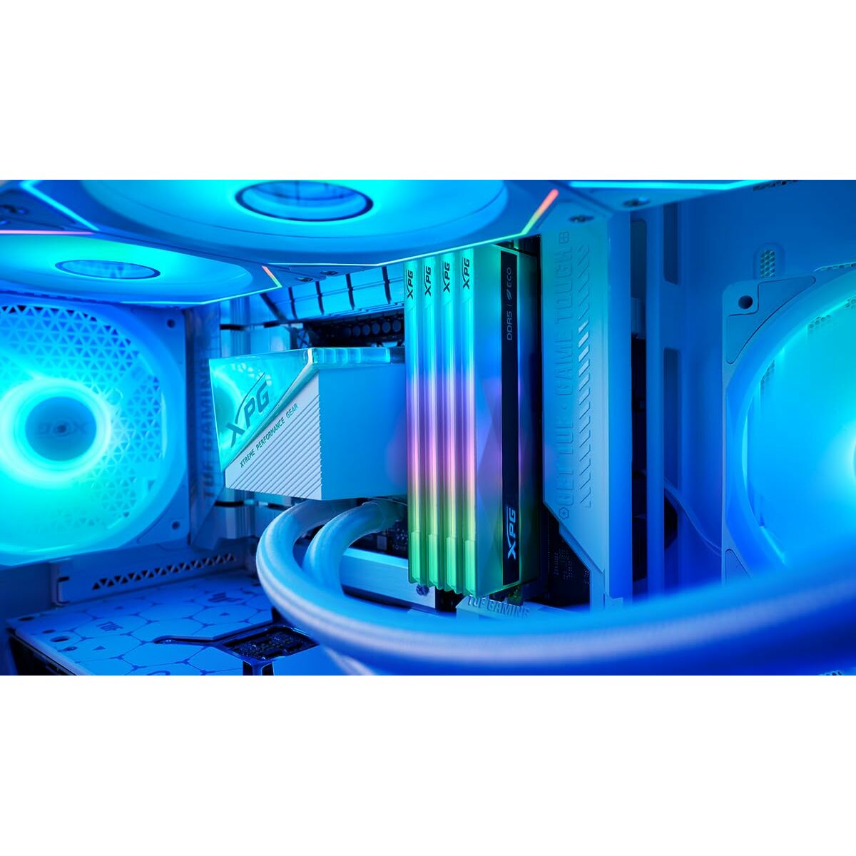 Memoria RAM Adata AX5U6000C3016G-CLANRSG 32 GB DDR5 6000 MHz cl30