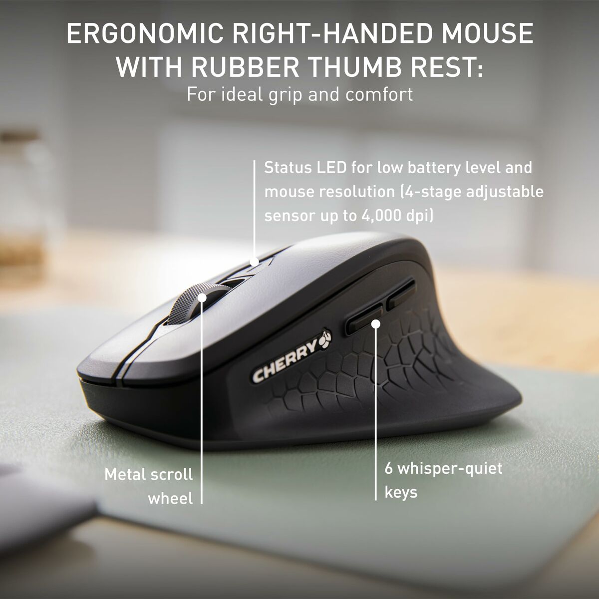 Teclado y Ratón Cherry JD-8550FR-2 Negro Francés Azerty Francés