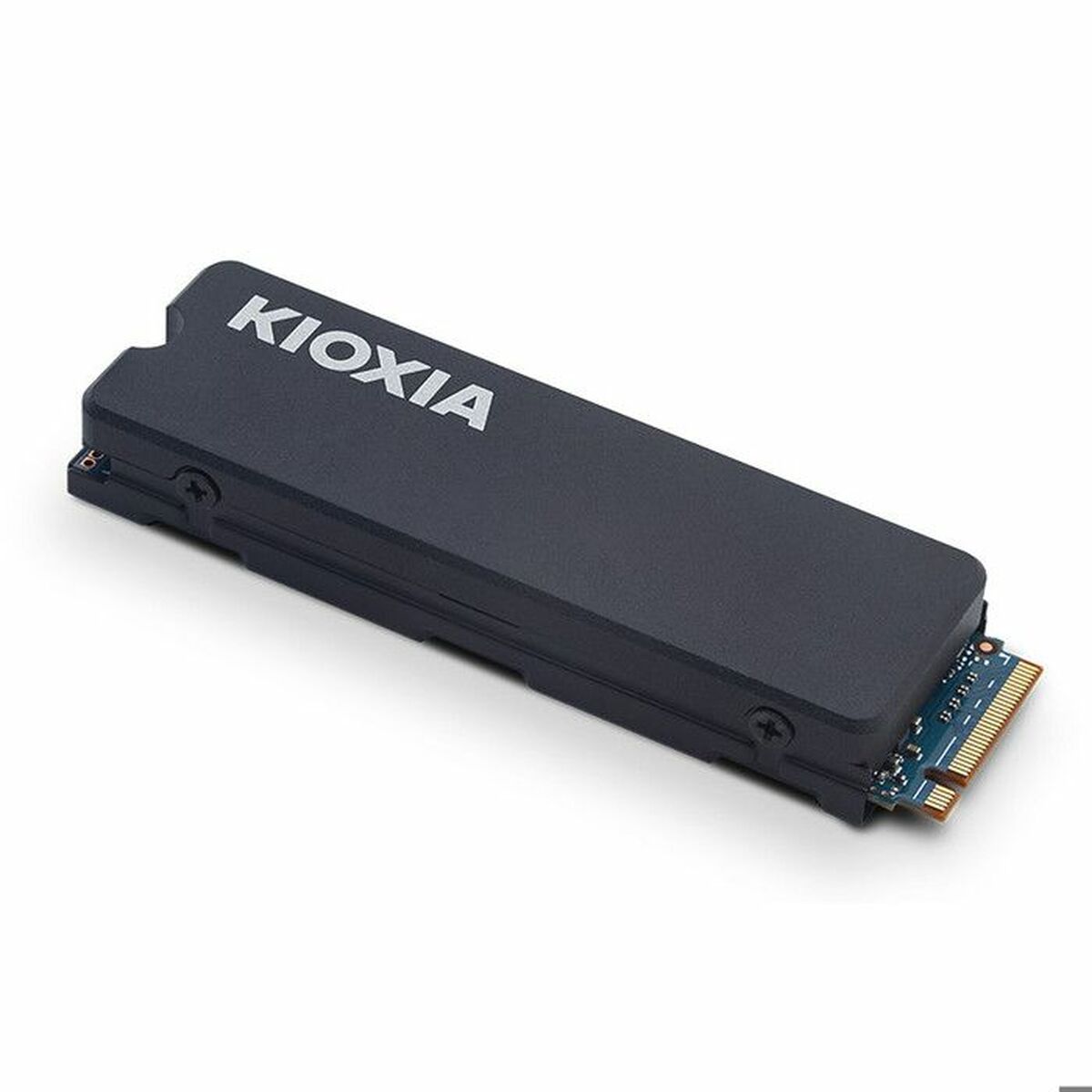 Disco Duro Kioxia Exceria Plus G3 1 TB SSD