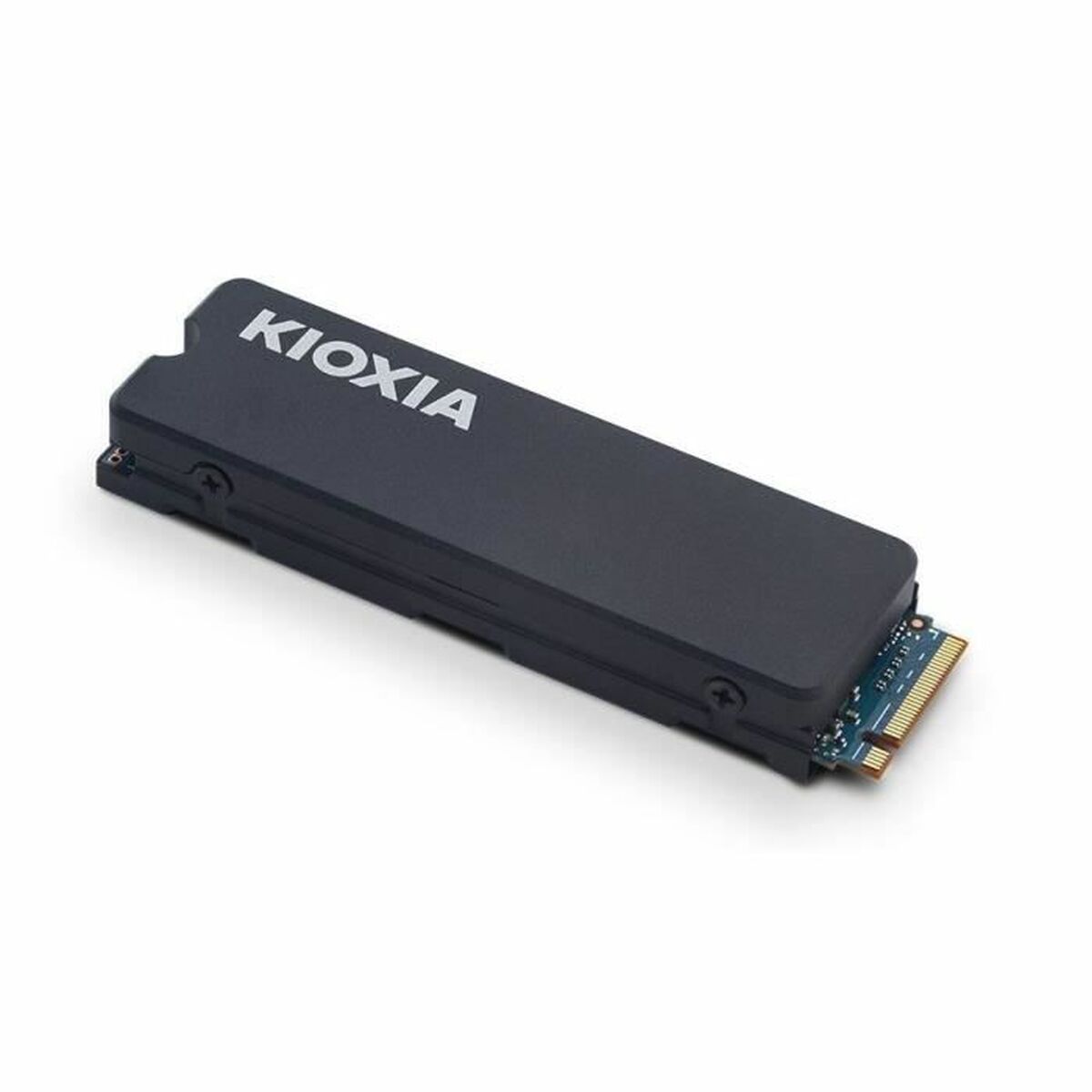 Disco Duro Kioxia Exceria Plus G3 2 TB SSD