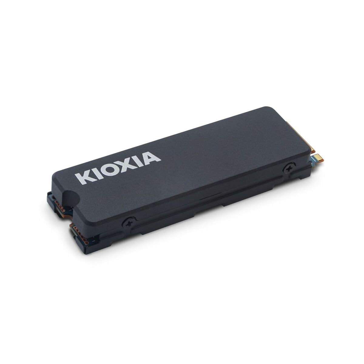 Disco Duro Kioxia Exceria Plus G3 4 TB SSD