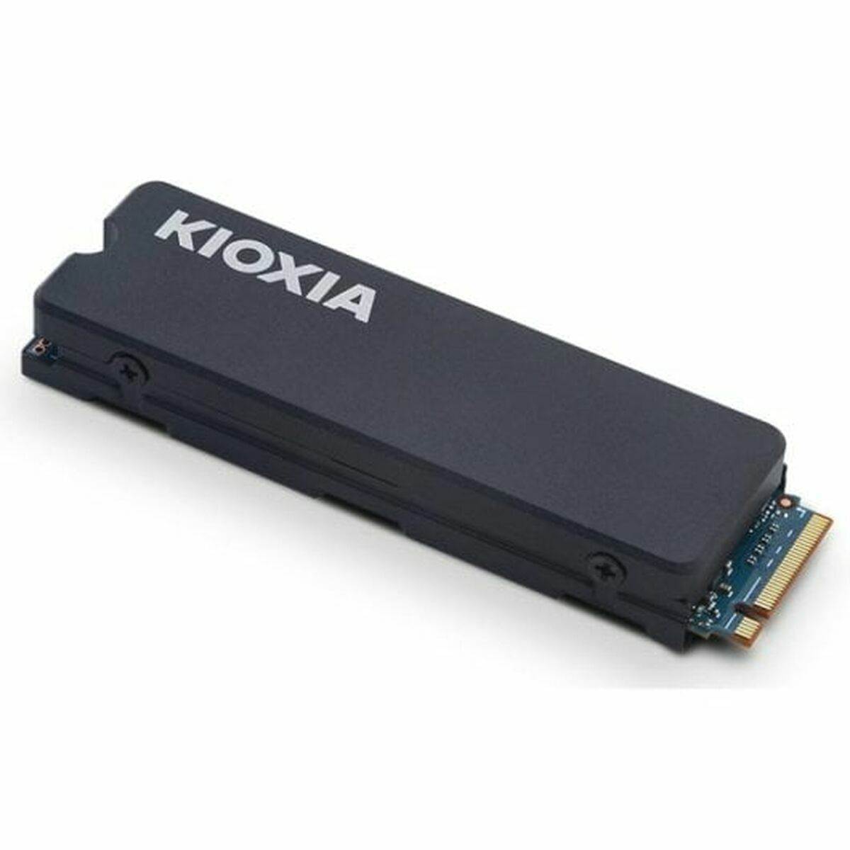 Disco Duro Kioxia Exceria Plus G3 4 TB SSD