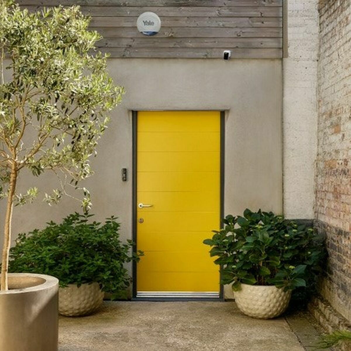 Alarma Personal Yale AL-ESG-1A-G 12 V