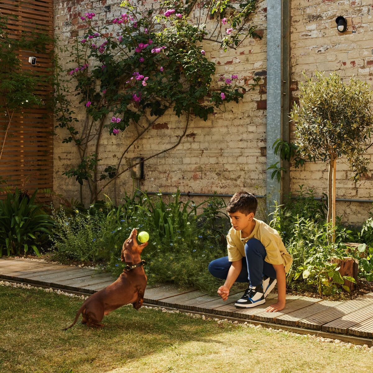 Sensor Inteligente de Puertas y Ventanas Yale AL-EDC-1A-G Montaje en pared