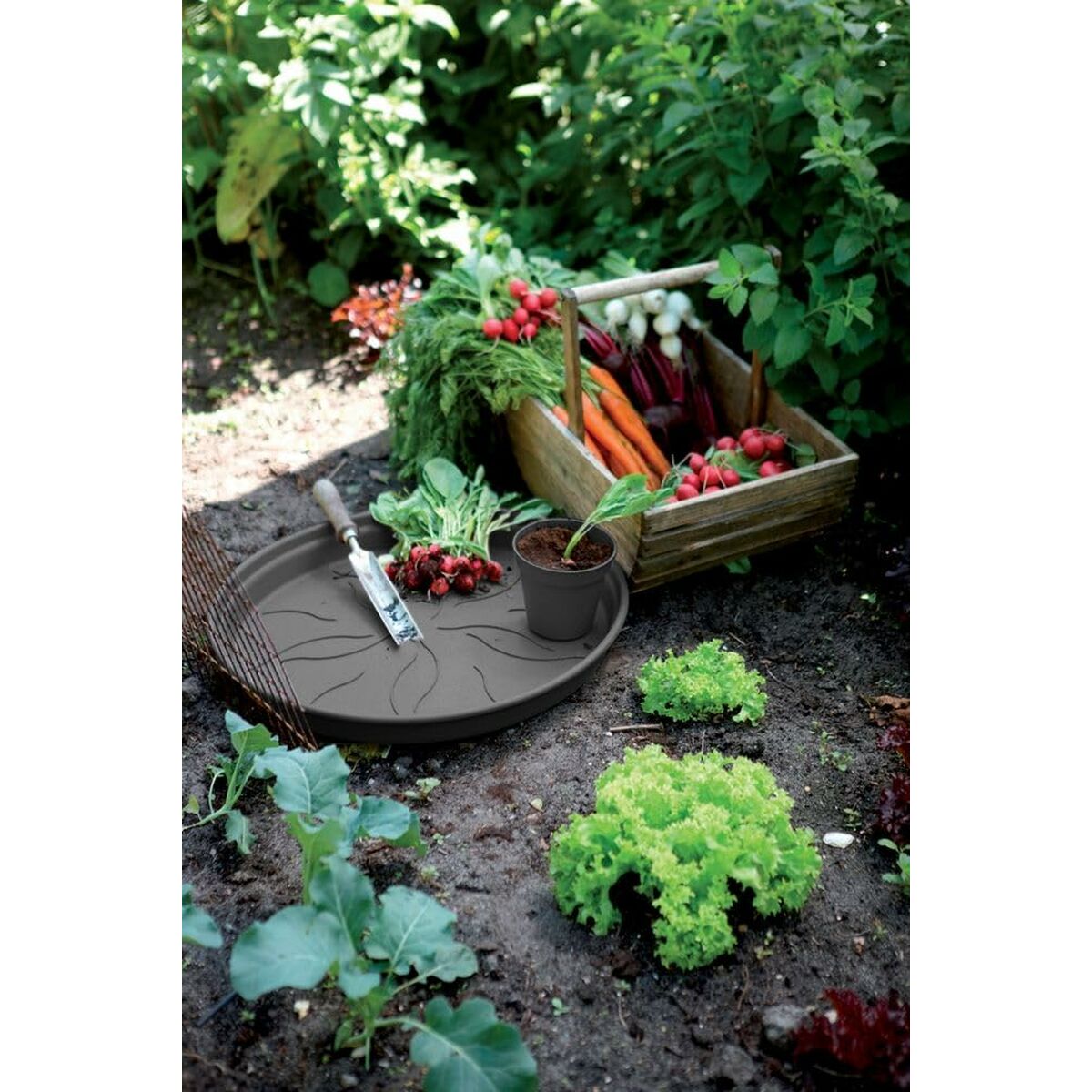 Maceta Elho Negro Plástico Redondo