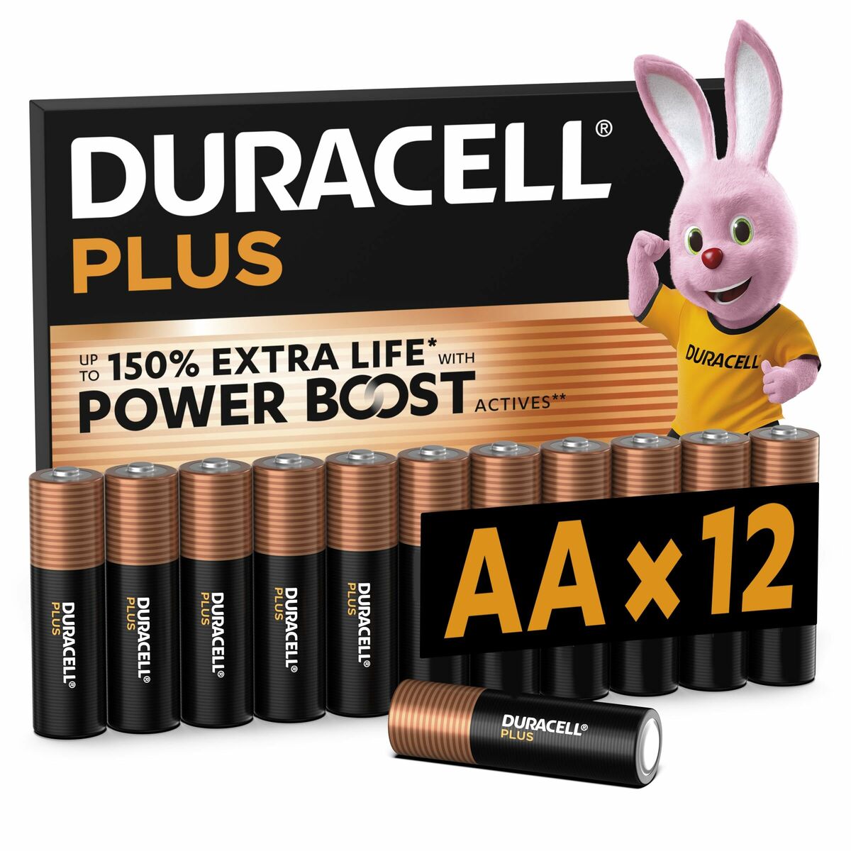 Pilas Recargables DURACELL DPBLR6B12 1,5 V