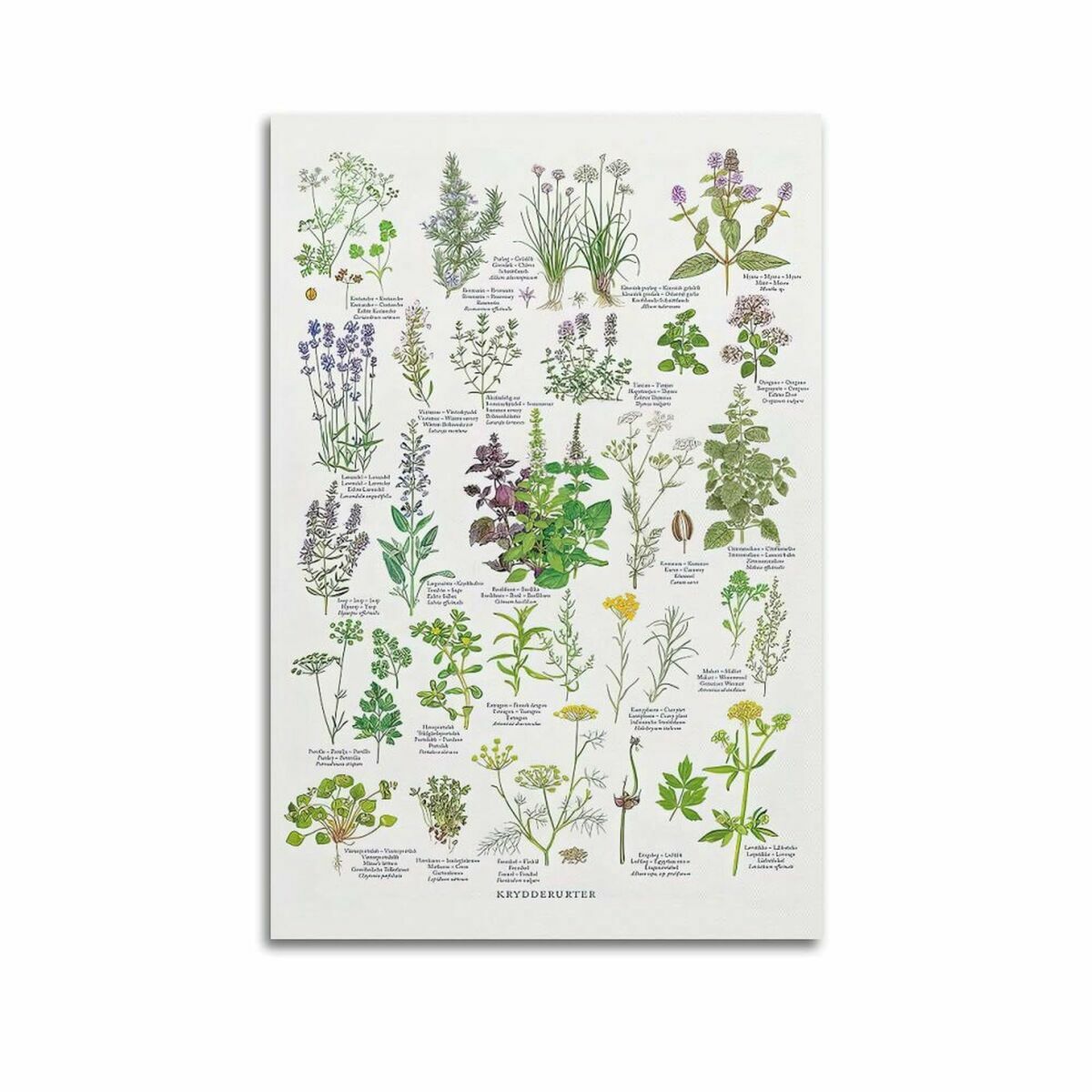 Smartphone Samsung SM-A566BZACEUE 6,7" 1 GB RAM 8 GB RAM 256 GB Gris