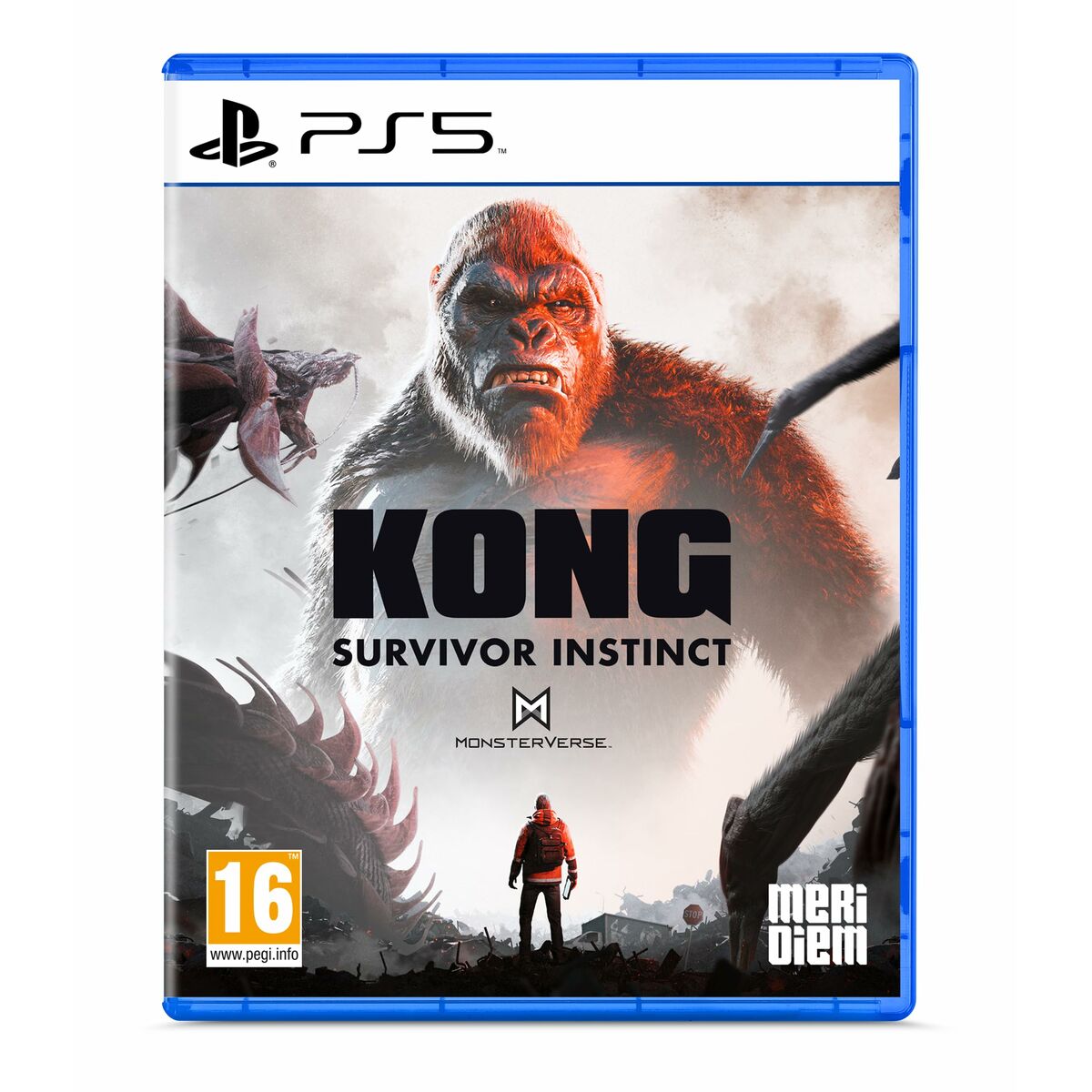 Videojuego PlayStation 5 Microids