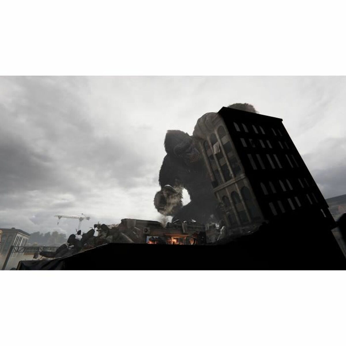 Videojuego PlayStation 5 Microids