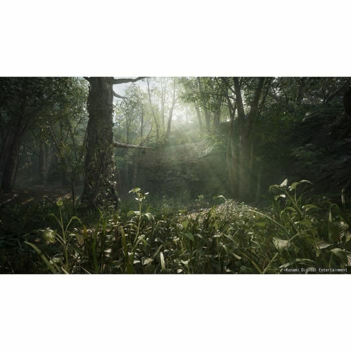 Videojuego PlayStation 5 Just For Games