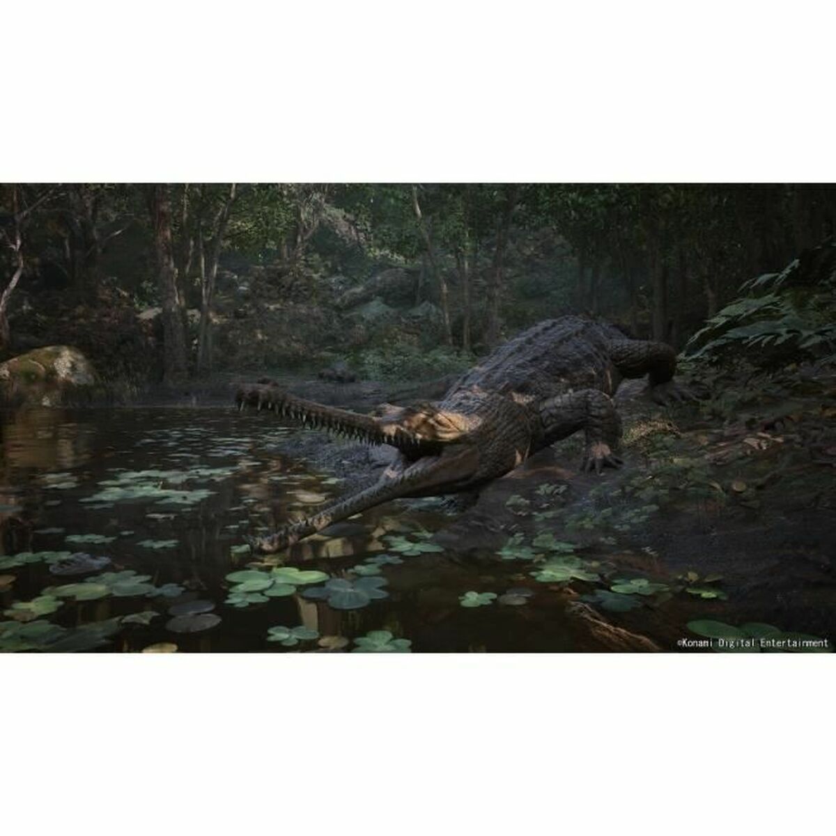 Videojuego PlayStation 5 Just For Games