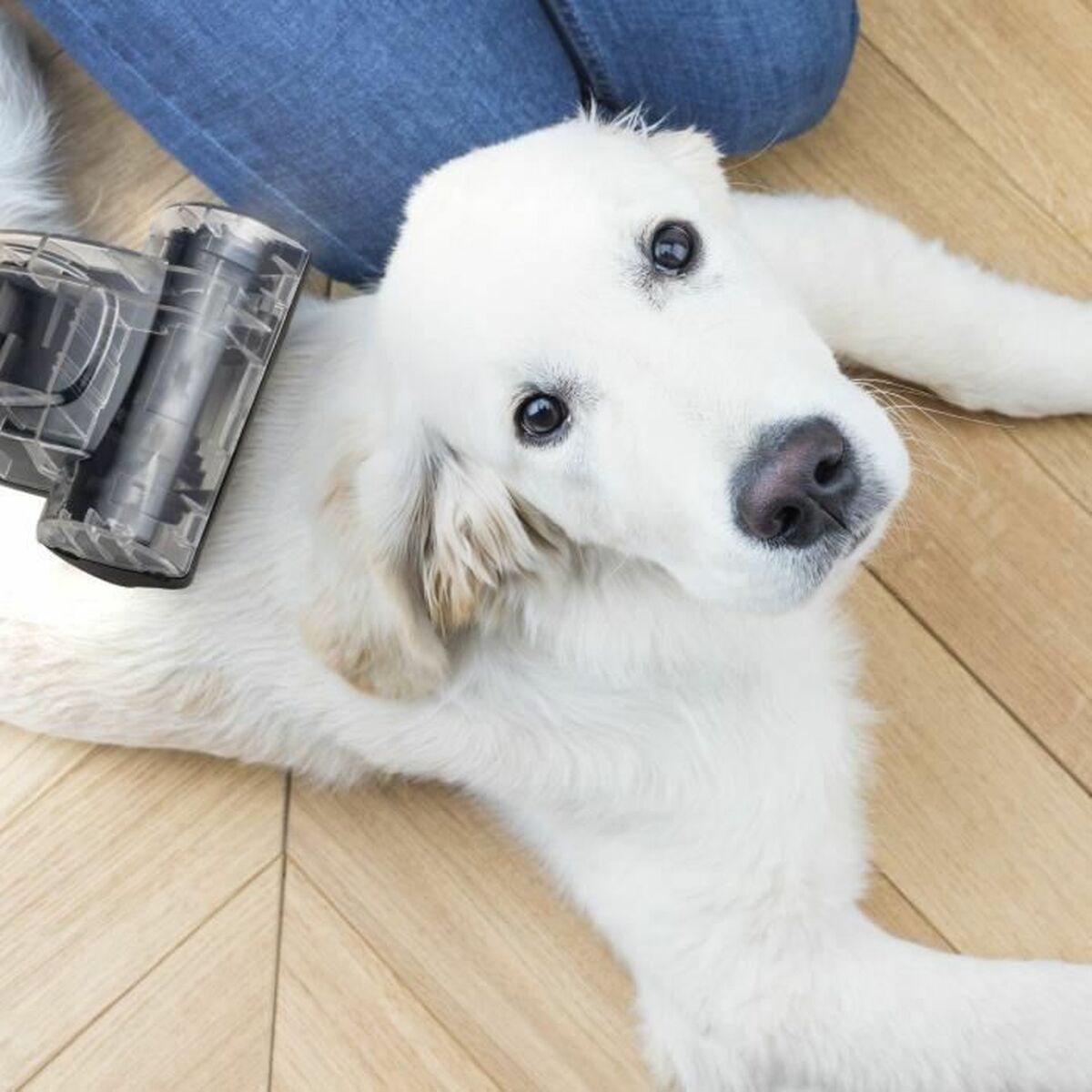 Aspirador Hkoenig Negro