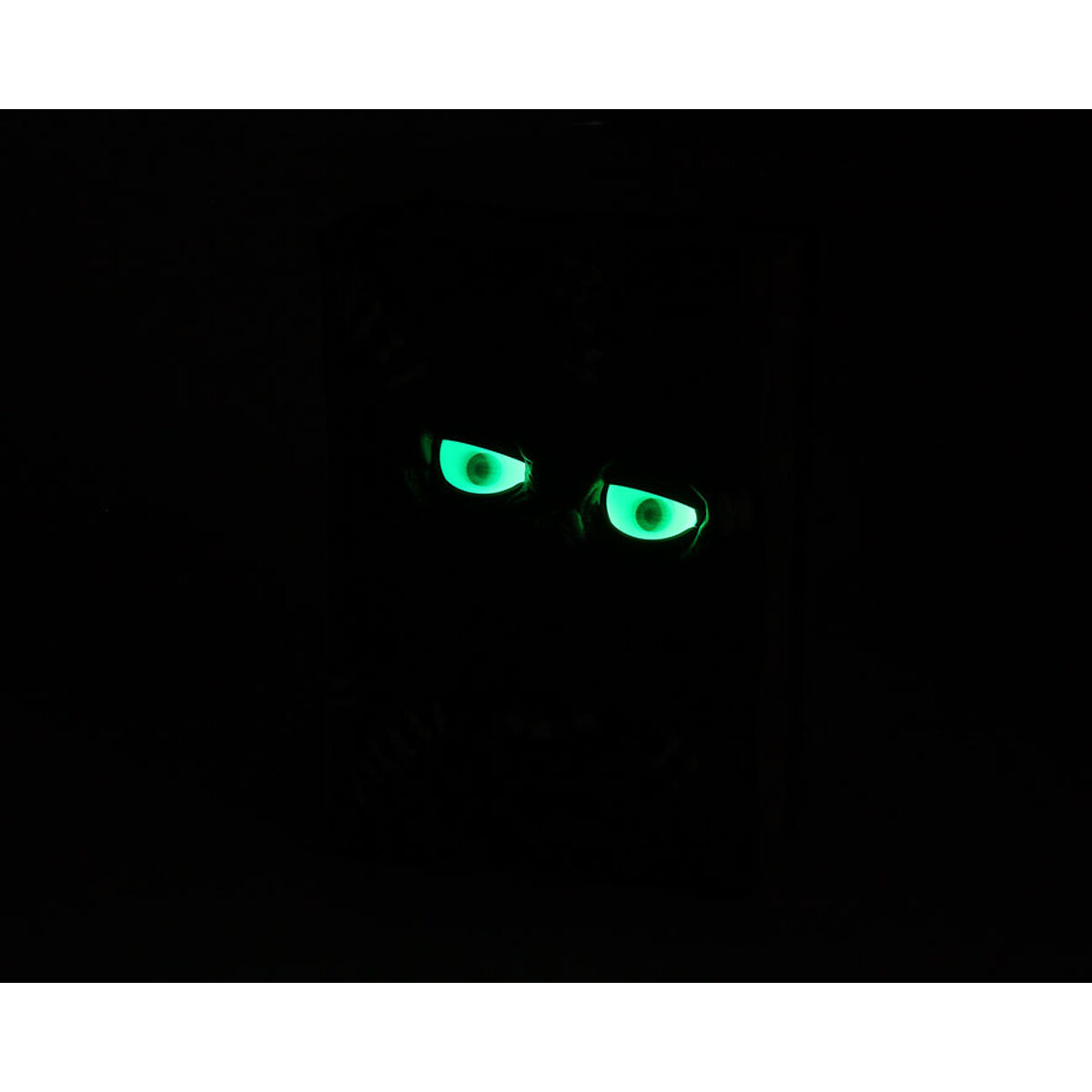 Decoración para Halloween 24 x 17 x 9 cm