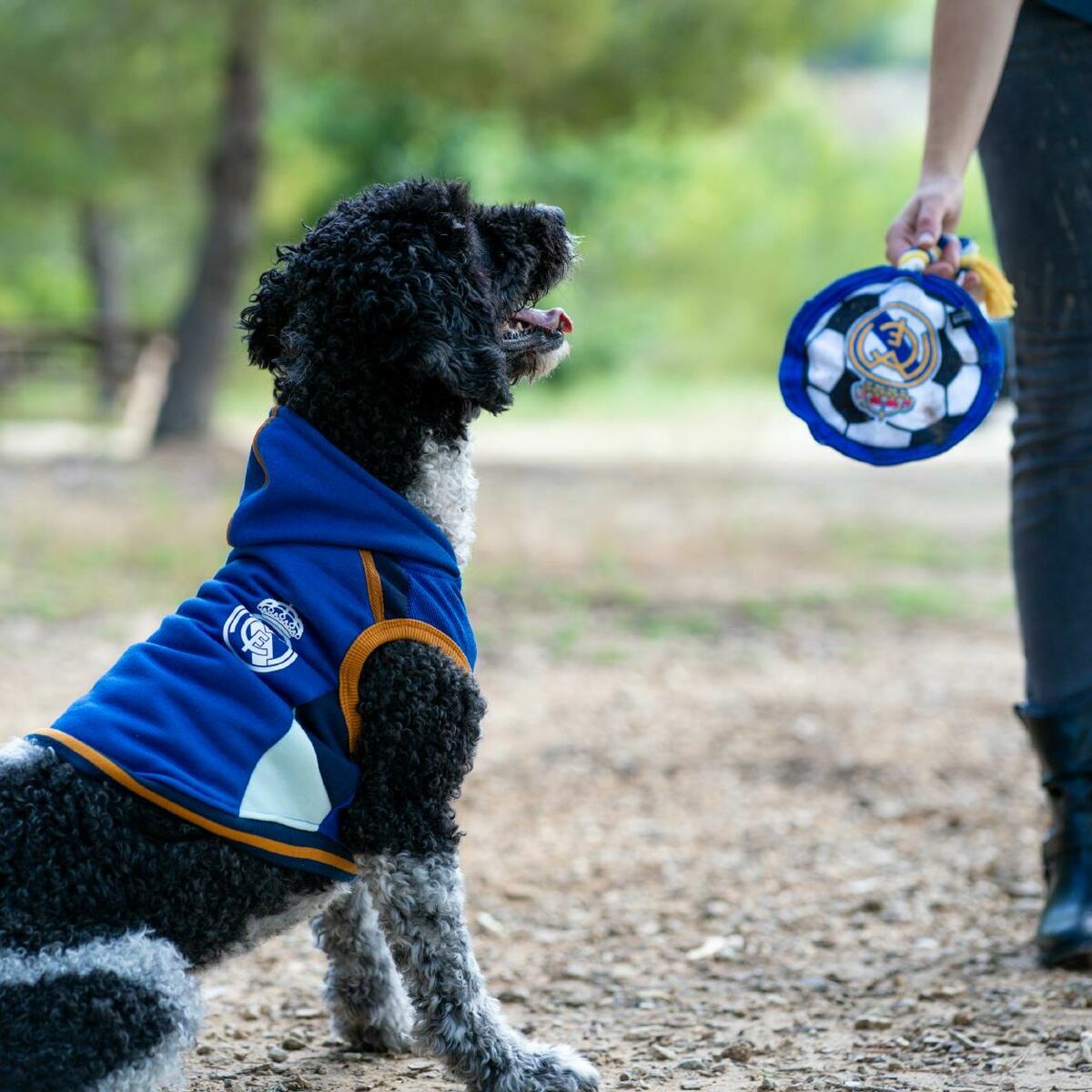 Sudadera para Perro Real Madrid C.F. Azul M